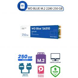 WD Blue SATA SSD M.2 2280