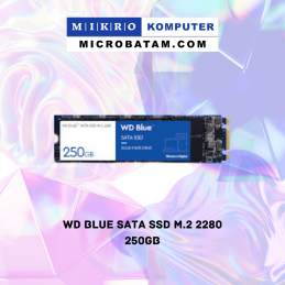 WD Blue SATA SSD M.2 2280