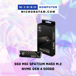 SSD MSI Spatium M450 M.2...