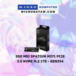 SSD MSI SPATIUM M371 PCIe...