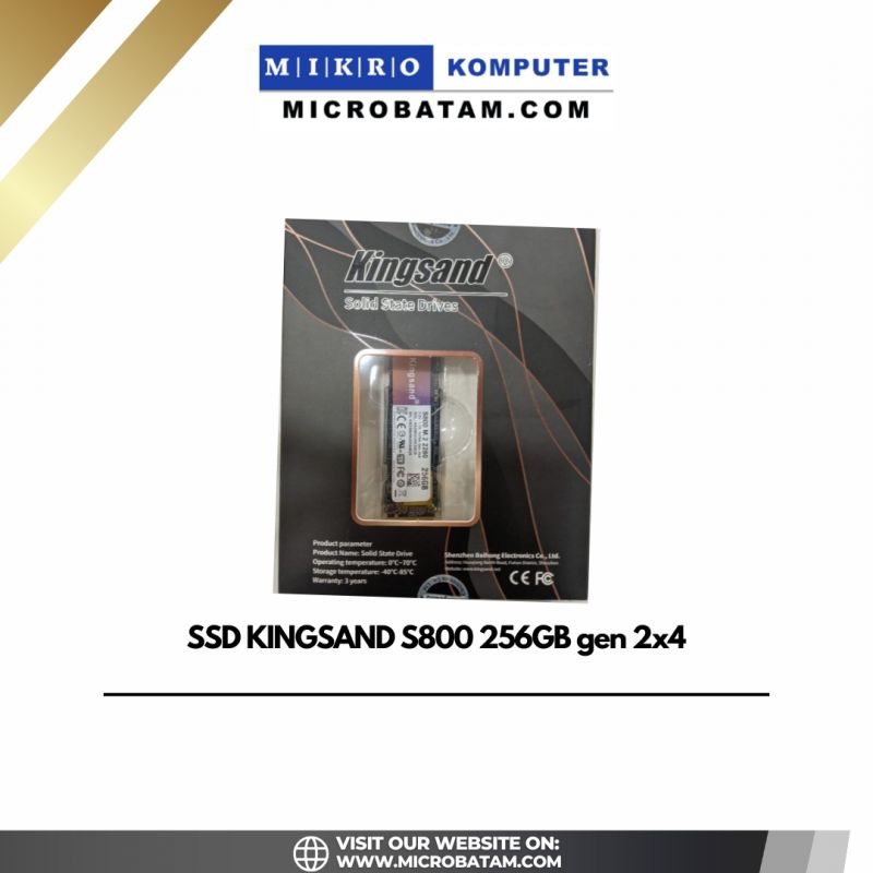 SSD KINGSAND S800 256GB 