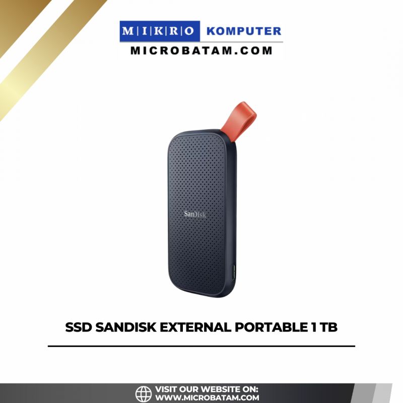  SSD EXTERNAL PORTABLE 1 TB- SDSSDE30-480G-G25