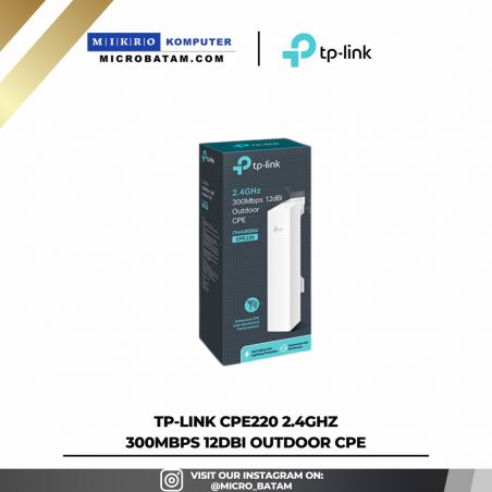 CPE220 2.4GHz 300Mbps 12dBi Outdoor CPE