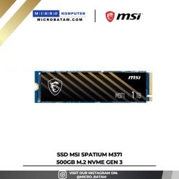 SSD MSI SPATIUM M371 PCIe 3.0 NVMe M.2 1TB - Gen3x4