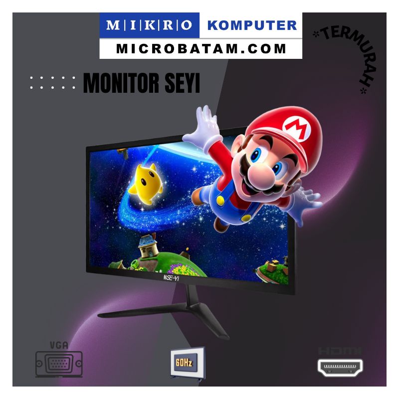 19 inch monitor hdmi