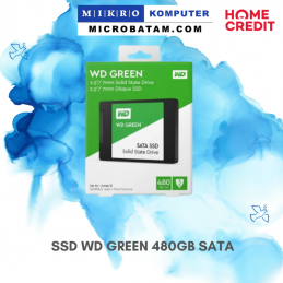 SSD WD GREEN 480GB SATA