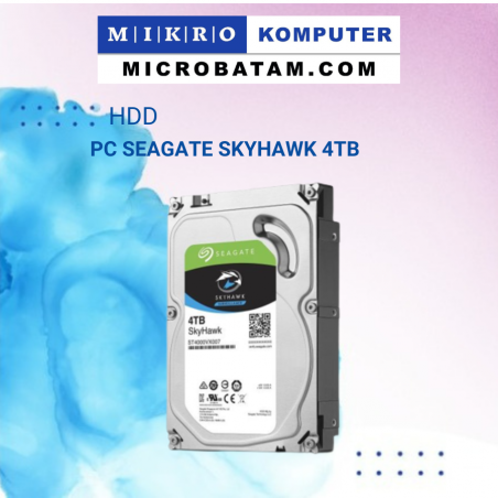  Seagate SkyHawk Harddisk 2TB