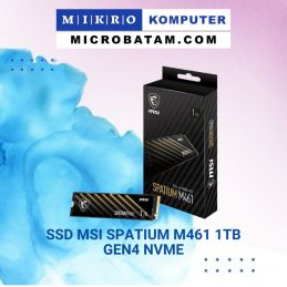 MSI SSD SPATIUM M461 1TB
