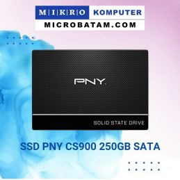 SSD PNY CS900 250GB SATA 